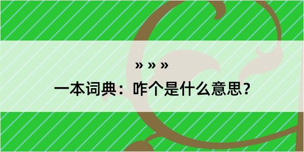 一本词典：咋个是什么意思？