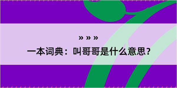 一本词典：叫哥哥是什么意思？