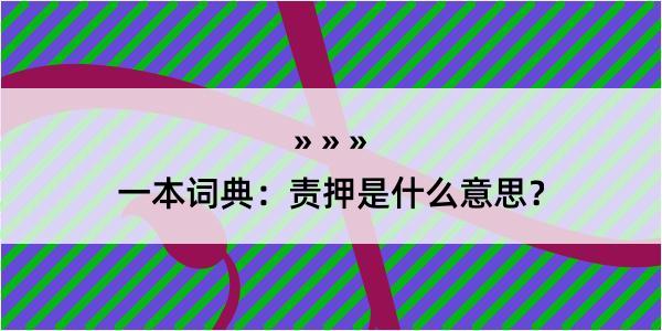 一本词典：责押是什么意思？