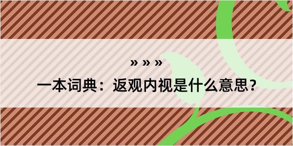 一本词典：返观内视是什么意思？