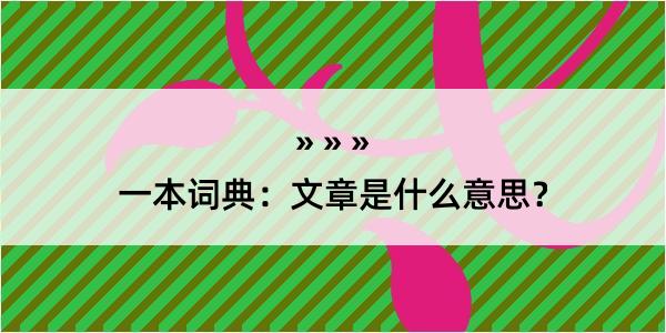 一本词典：文章是什么意思？