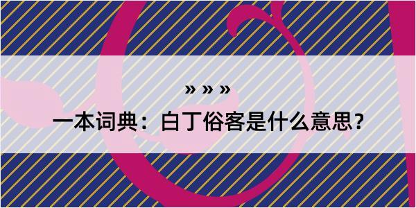 一本词典：白丁俗客是什么意思？