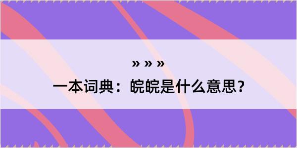 一本词典：皖皖是什么意思？