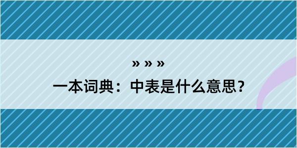 一本词典：中表是什么意思？