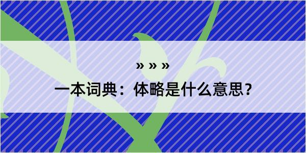 一本词典：体略是什么意思？