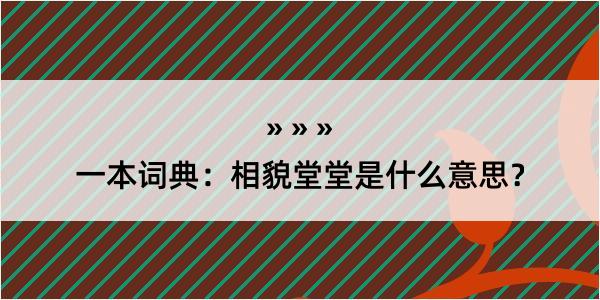 一本词典：相貌堂堂是什么意思？