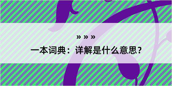 一本词典：详解是什么意思？