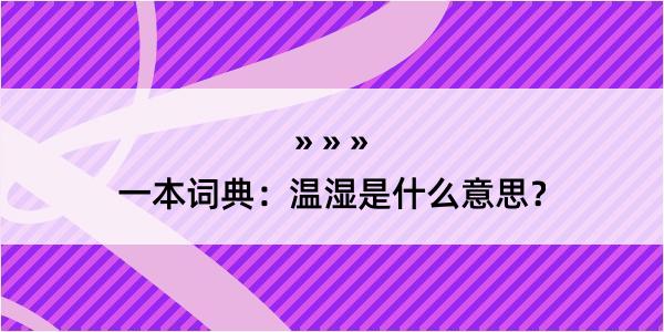 一本词典：温湿是什么意思？