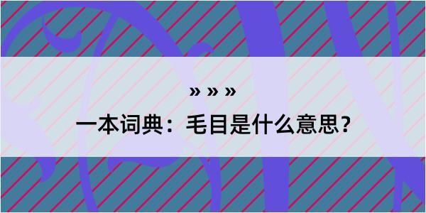 一本词典：毛目是什么意思？