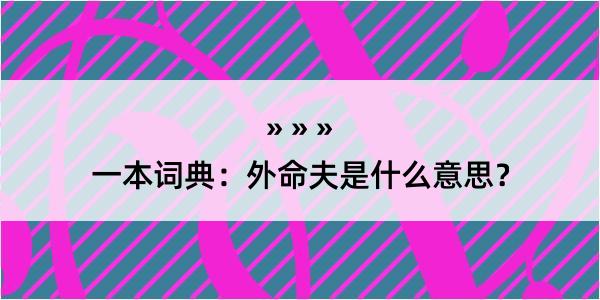 一本词典：外命夫是什么意思？