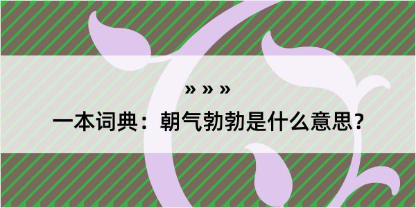 一本词典：朝气勃勃是什么意思？