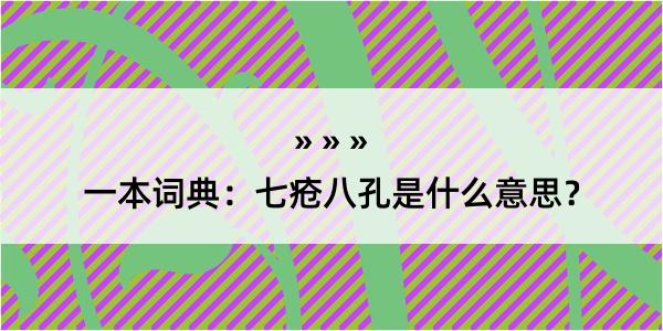 一本词典：七疮八孔是什么意思？