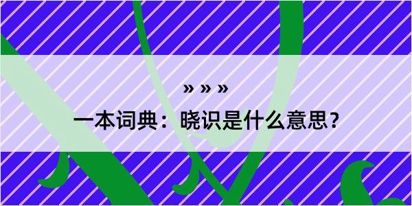 一本词典：晓识是什么意思？