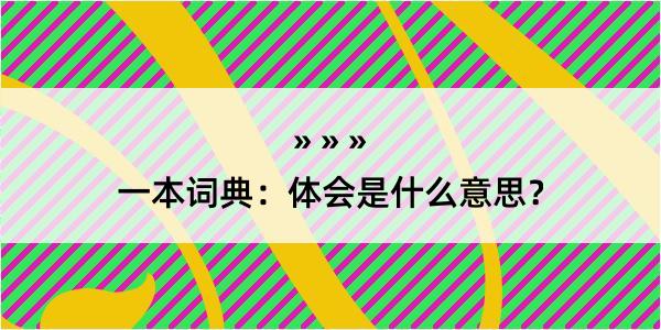 一本词典：体会是什么意思？