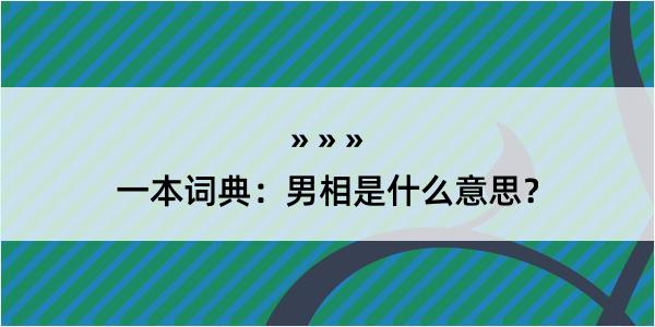 一本词典：男相是什么意思？