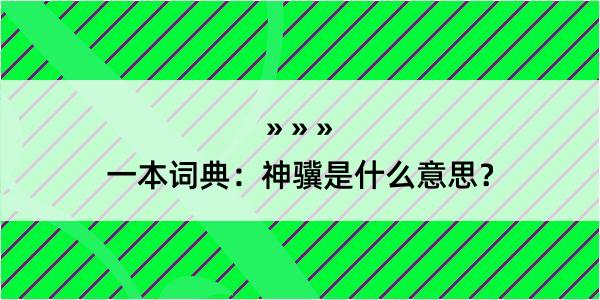 一本词典：神骥是什么意思？