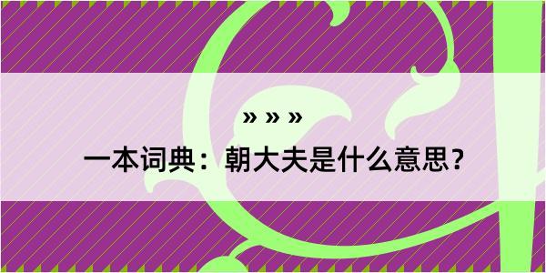 一本词典：朝大夫是什么意思？