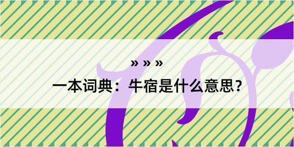 一本词典：牛宿是什么意思？