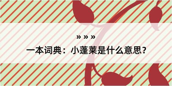 一本词典：小蓬莱是什么意思？