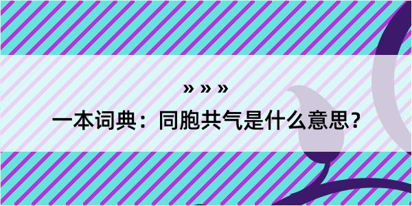 一本词典：同胞共气是什么意思？