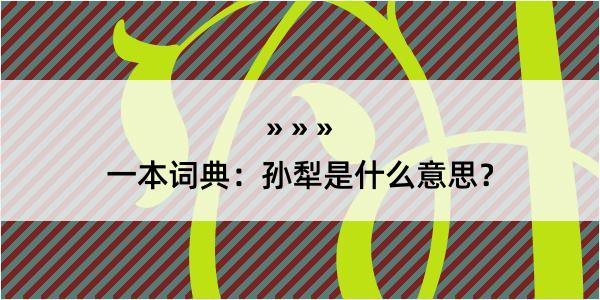 一本词典：孙犁是什么意思？