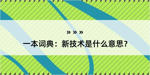 一本词典：新技术是什么意思？