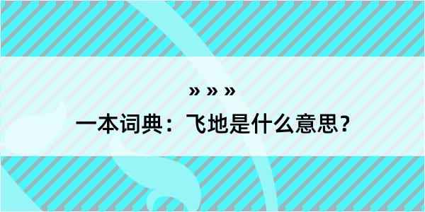 一本词典：飞地是什么意思？