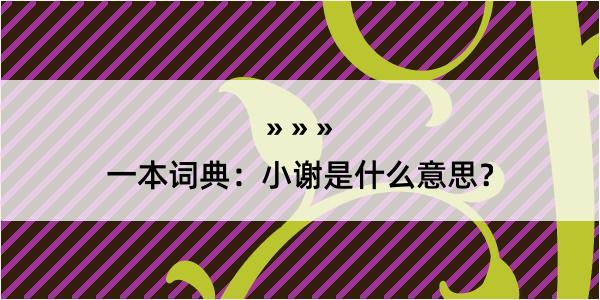 一本词典：小谢是什么意思？