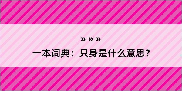 一本词典：只身是什么意思？