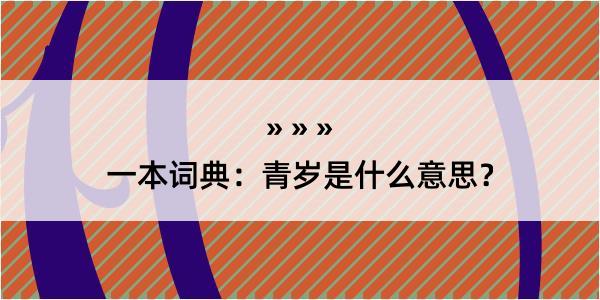 一本词典：青岁是什么意思？