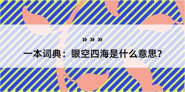 一本词典：眼空四海是什么意思？