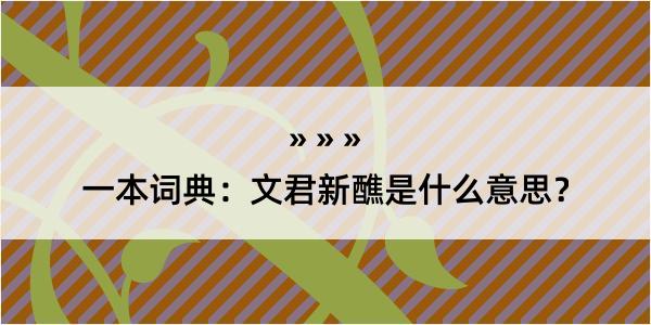 一本词典：文君新醮是什么意思？