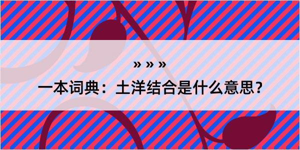 一本词典：土洋结合是什么意思？