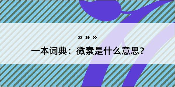 一本词典：微素是什么意思？