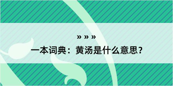 一本词典：黄汤是什么意思？