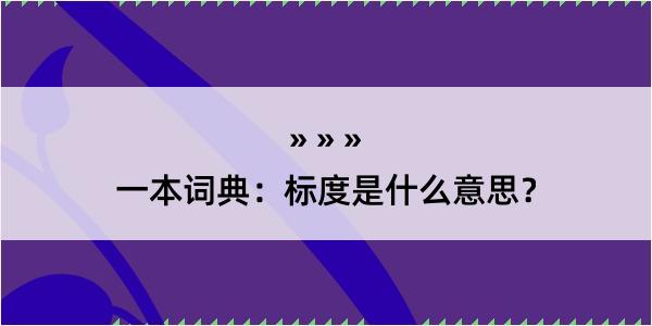 一本词典：标度是什么意思？