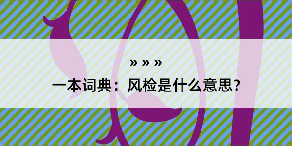 一本词典：风检是什么意思？