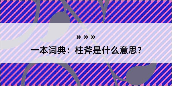 一本词典：柱斧是什么意思？