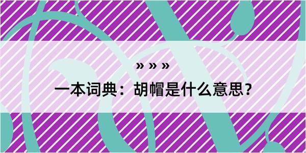 一本词典：胡帽是什么意思？