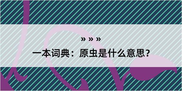 一本词典：原虫是什么意思？