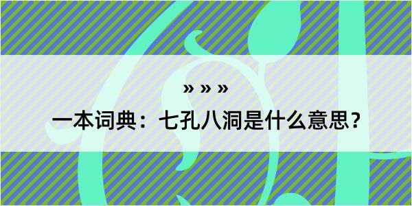 一本词典：七孔八洞是什么意思？