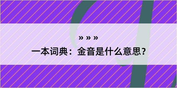 一本词典：金音是什么意思？