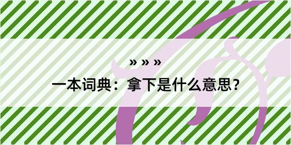 一本词典：拿下是什么意思？