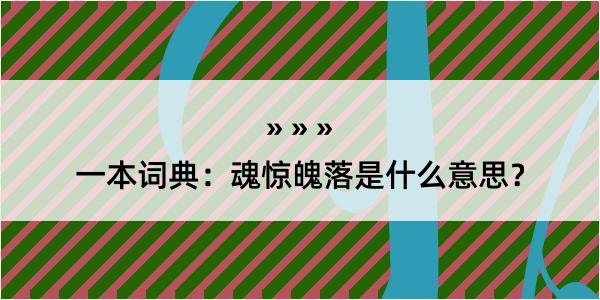 一本词典：魂惊魄落是什么意思？