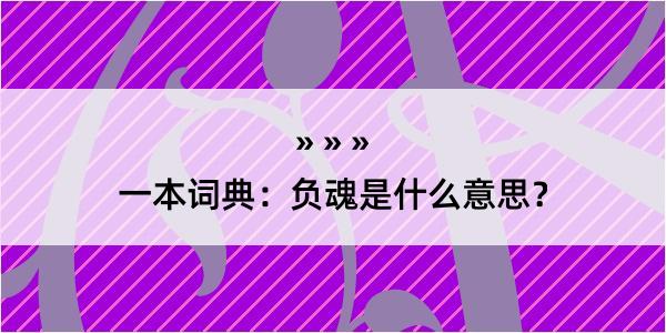 一本词典：负魂是什么意思？