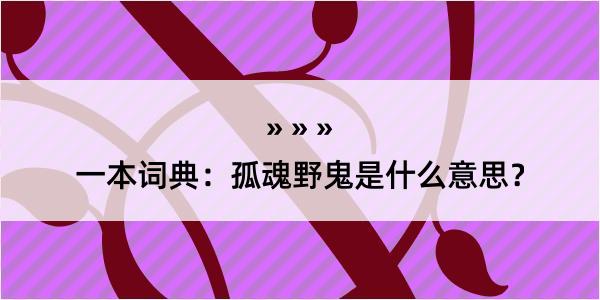 一本词典：孤魂野鬼是什么意思？