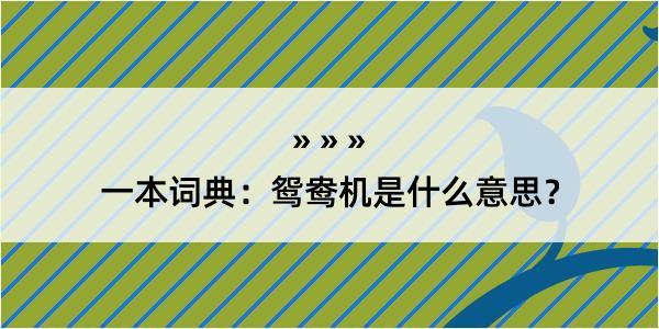 一本词典：鸳鸯机是什么意思？