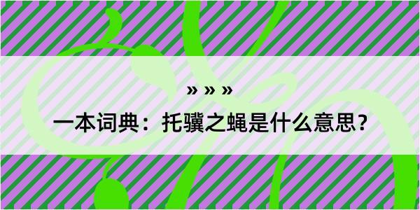 一本词典：托骥之蝇是什么意思？