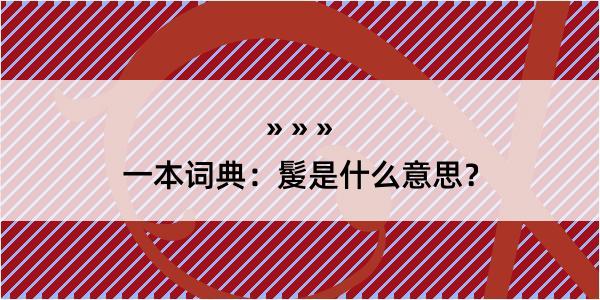 一本词典：髲是什么意思？