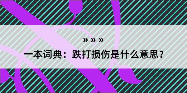 一本词典：跌打损伤是什么意思？